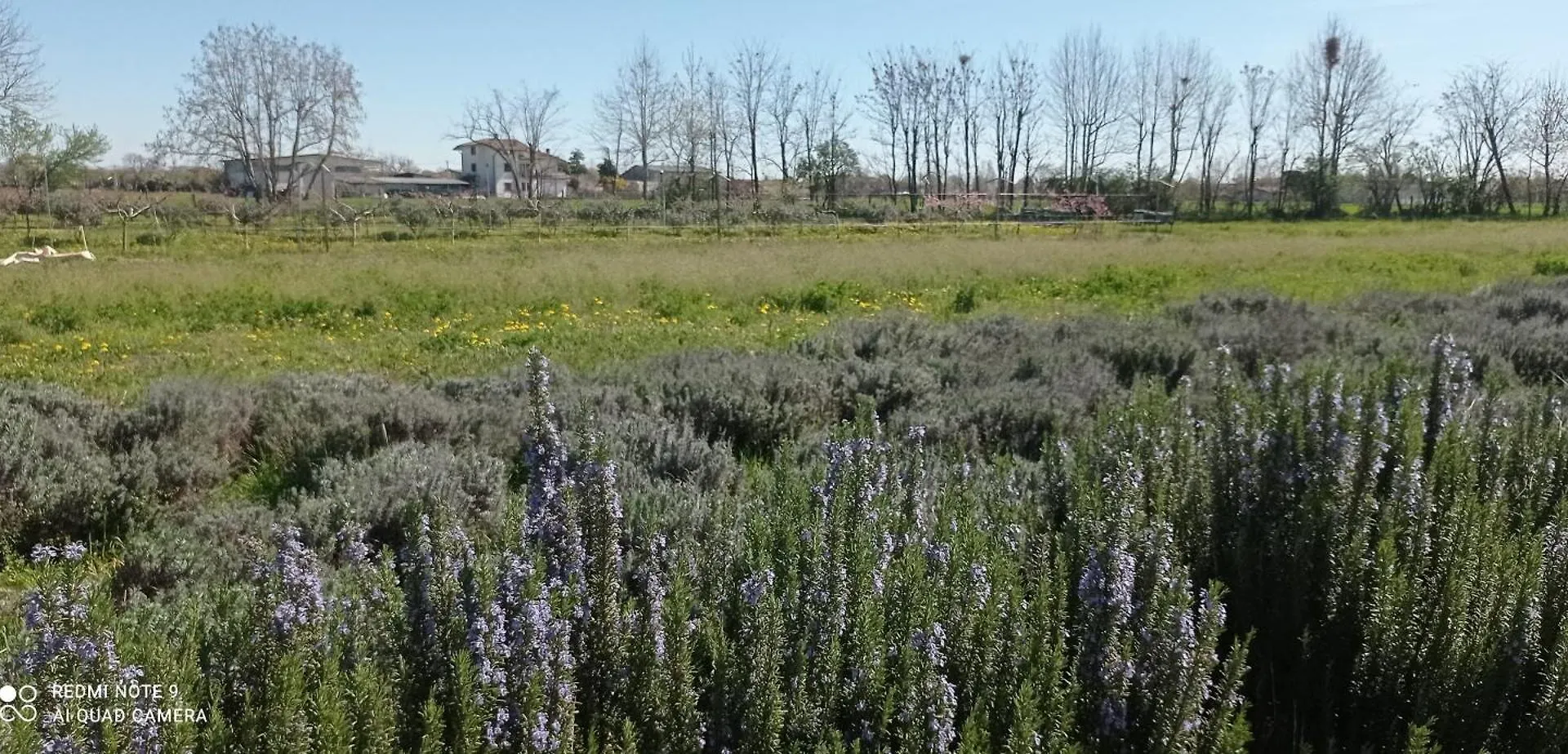 Farm stay In The Countryside Just 15 Minutes From The Airport Villa Stezzano
